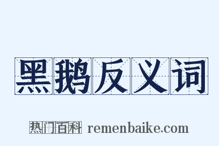 黑鹅反义词是什么意思的图片